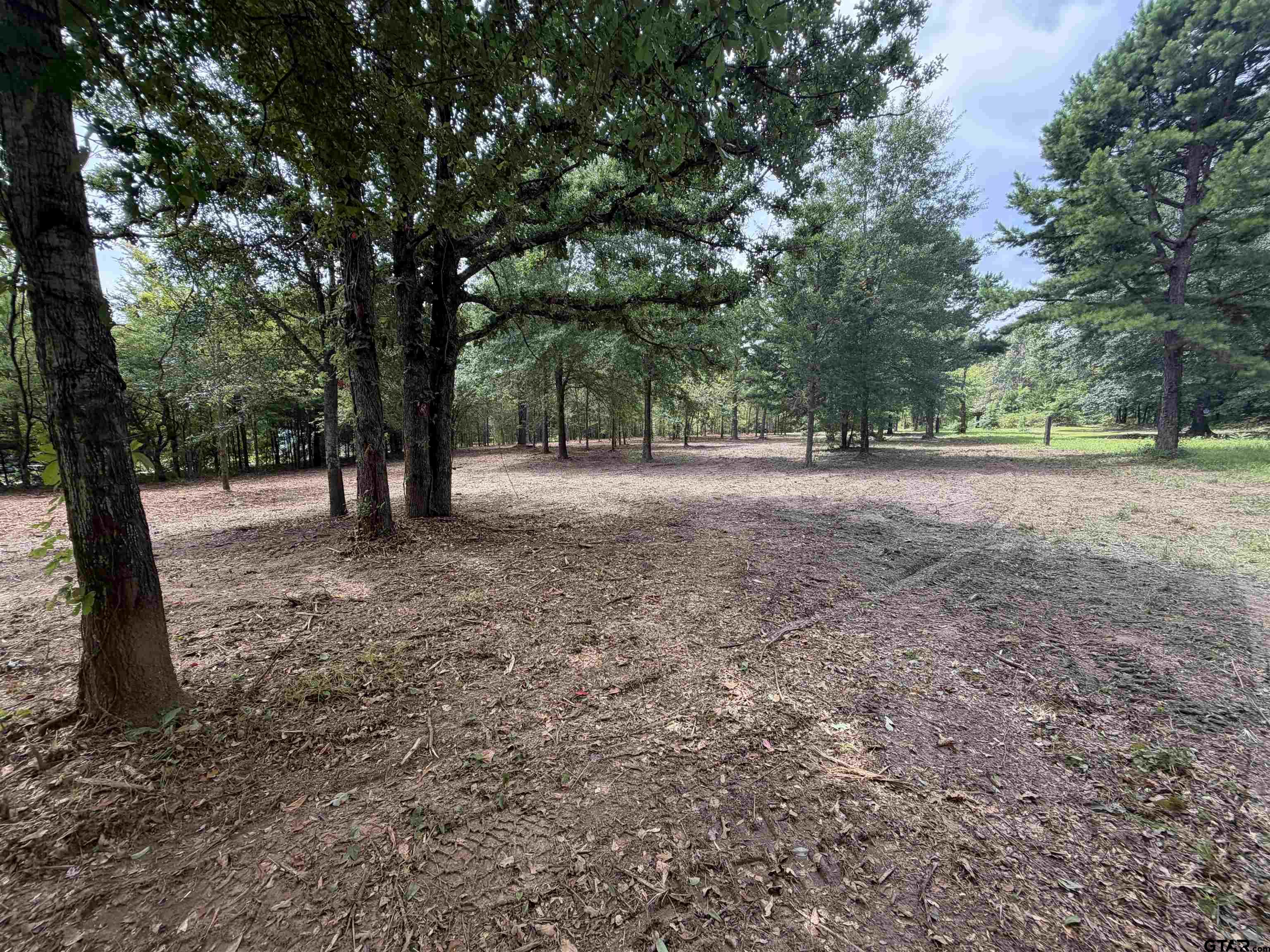 Number 1 for listing
